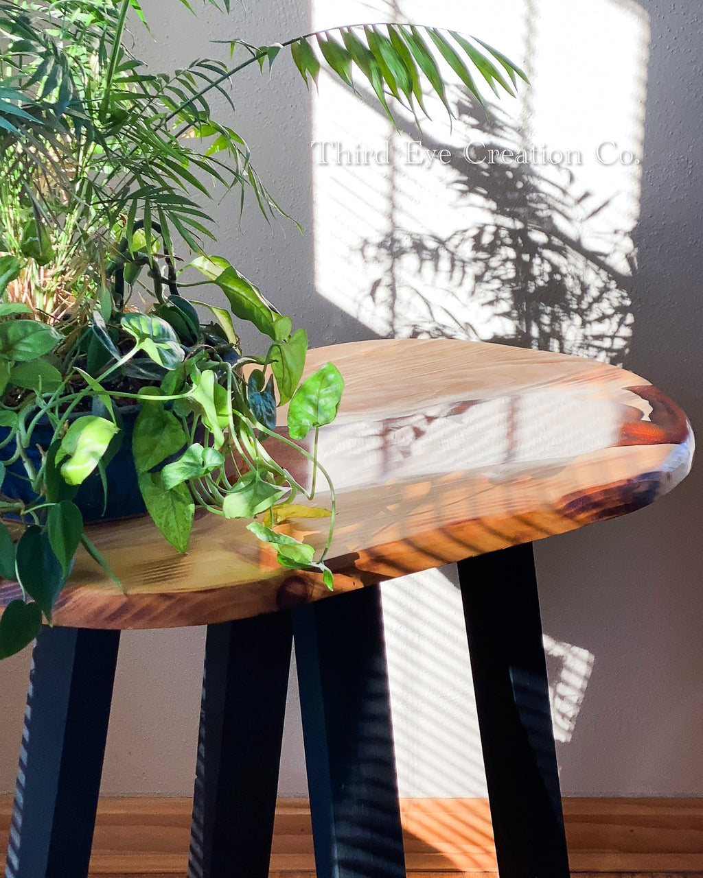 A live-edge wooden side table with a glossy finish and black legs, styled with a potted green plant in a room with warm sunlight and leaf shadows on the wall.